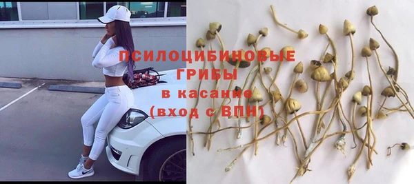 мдма Елизово