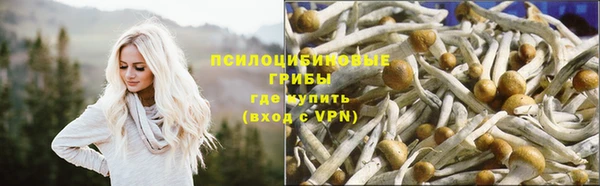 круглые Ельня