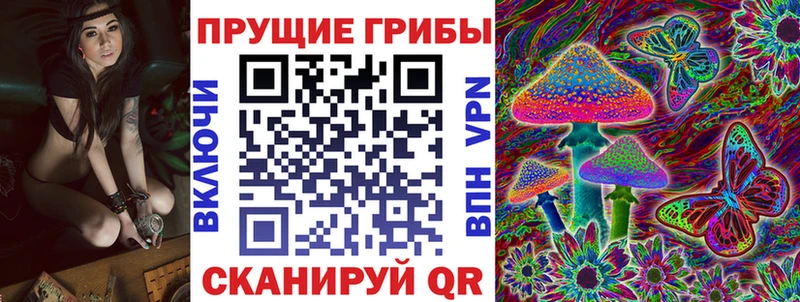 Купить  Короча  Галлюциногенные грибы MAGIC MUSHROOMS 